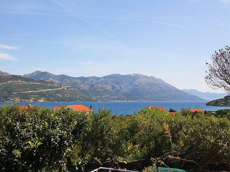 Apartmani Zute Račišće Extérieur photo