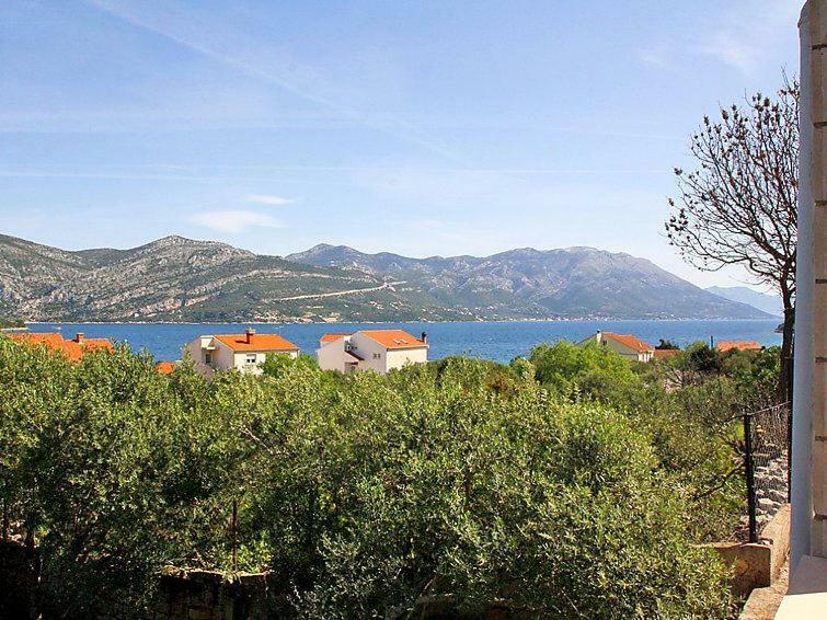 Apartmani Zute Račišće Extérieur photo